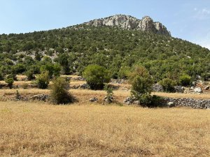 Çimi Mahallesi