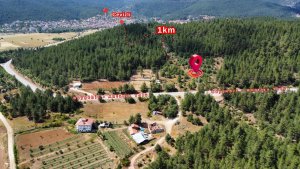Cevizli Mahallesi