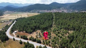 Cevizli Mahallesi
