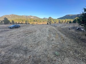450m2 Tek Tapu Müstakil Tarla