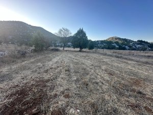450m2 Tek Tapu Müstakil Tarla
