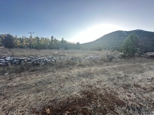 450m2 Tek Tapu Müstakil Tarla