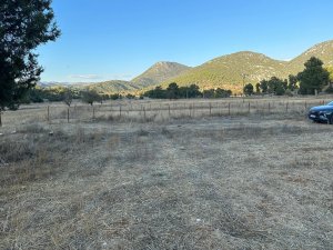 450m2 Tek Tapu Müstakil Tarla